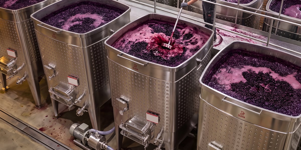 Olavin diamond square open-top fermenters during an active red ferment