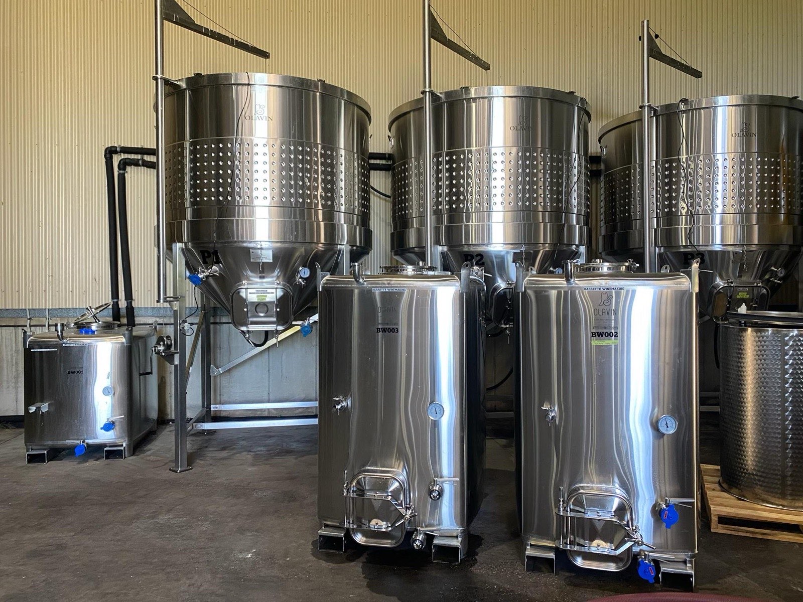 Three Olavin open-top conical fermenters standing against the wall of the Camino Wine Co cellar, showing their dimpled cooling jackets and off-centre conical bases, with smaller stainless tanks in front.