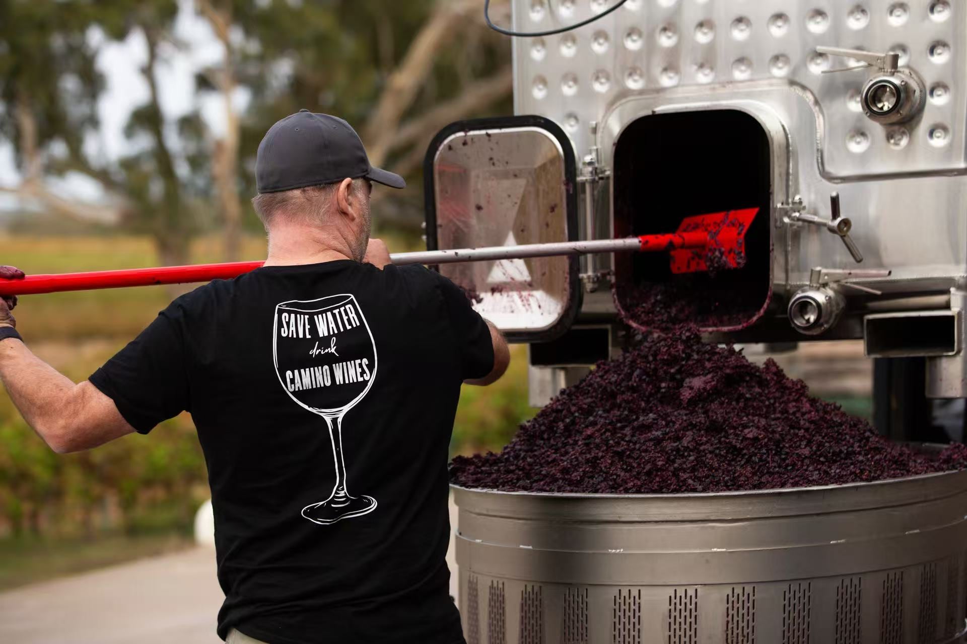A Camino Wine Co cellar hand rakes spent Shiraz skins out of the side door of an Olavin open-top conical fermenter into a bin, with Barossa vineyard rows behind.